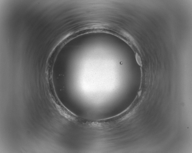 X0000068810827200605081117