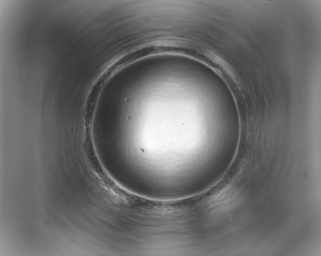 X0000068810829200605081117