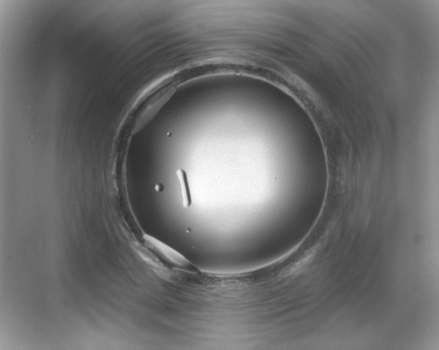 X0000068810830200605081117