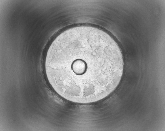 X0000068810832200605081117