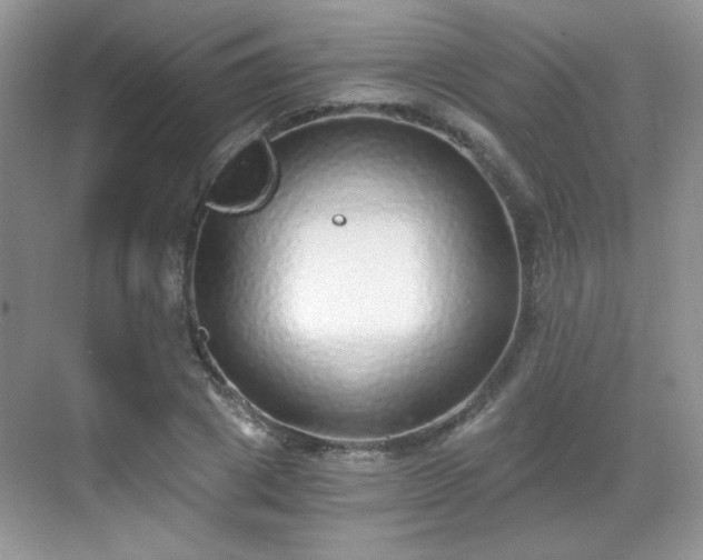 X0000068810833200605081117