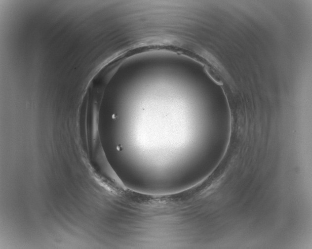 X0000068810834200605081117