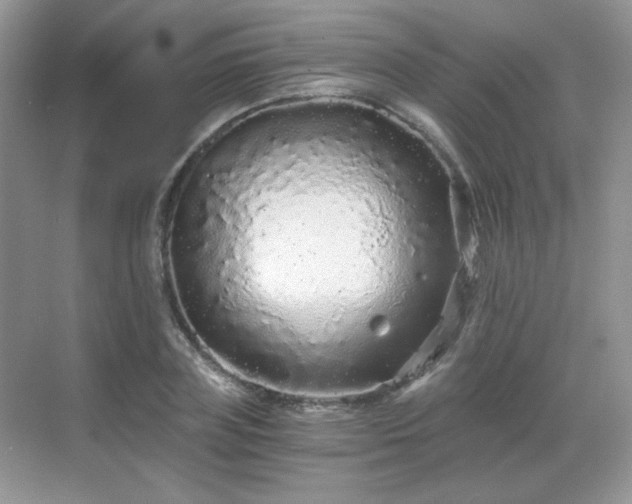 X0000068810835200605081117