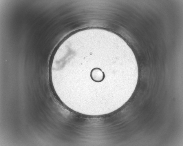 X0000068810836200605081117