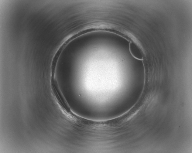 X0000068810837200605081117