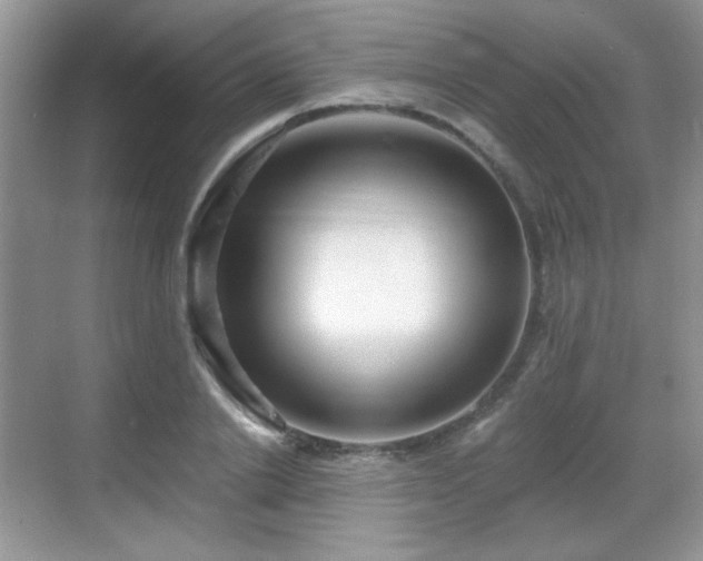 X0000068810838200605081117