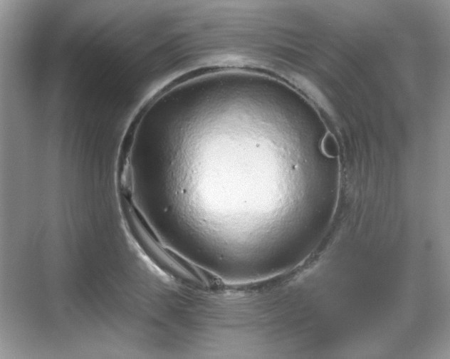 X0000068810839200605081117