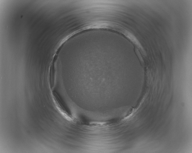 X0000068810842200605081117