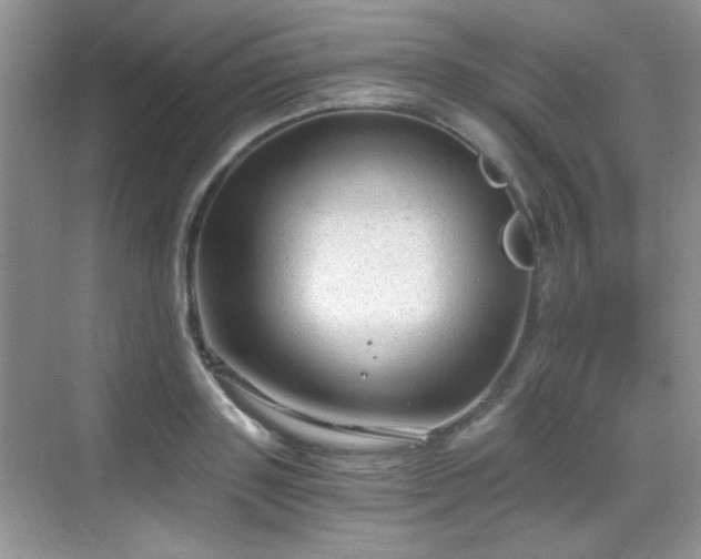 X0000068810843200605081117