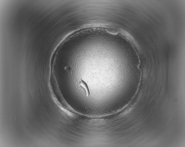 X0000068810844200605081117