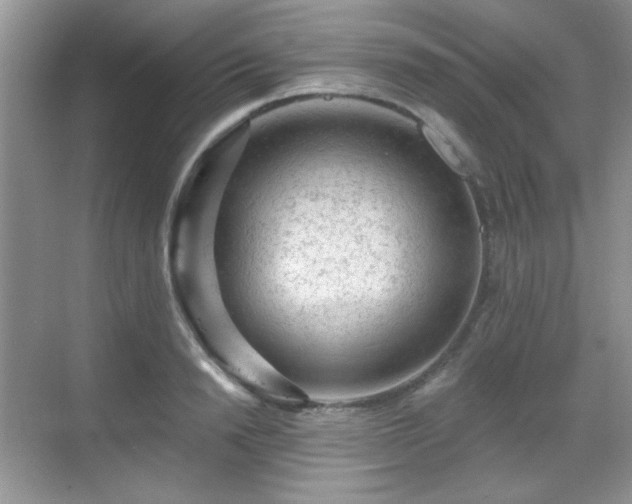 X0000068810846200605081117