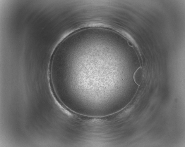 X0000068810847200605081117