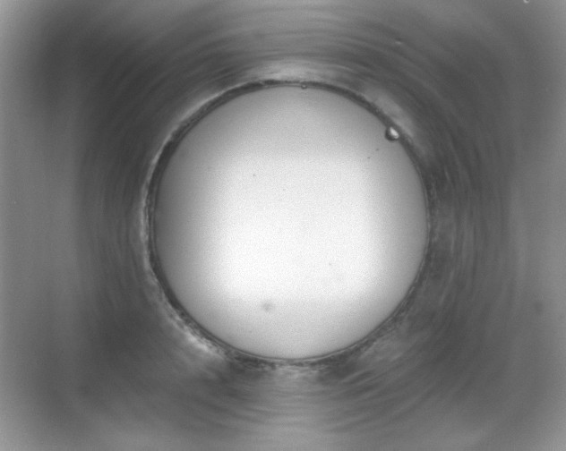 X0000068810848200605081117