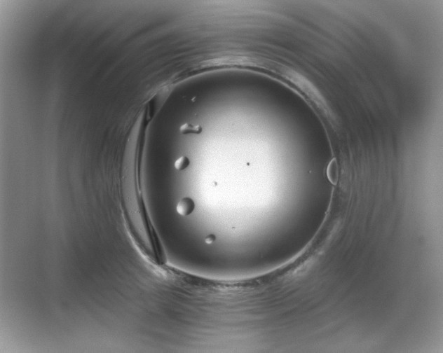 X0000068810849200605081117