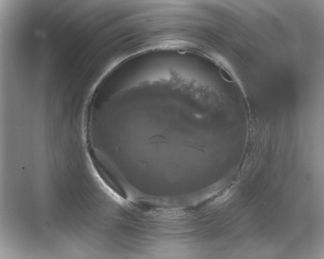 X0000068810851200605081117