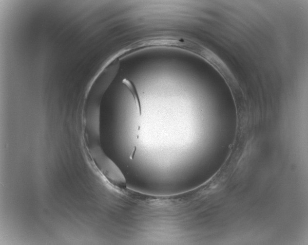 X0000068810852200605081117