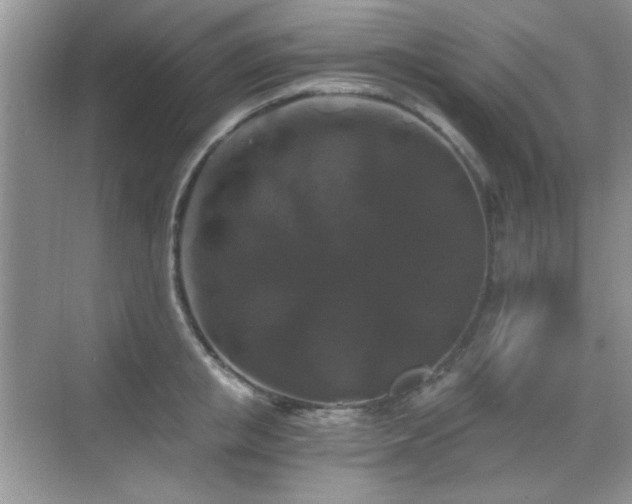 X0000068810853200605081117