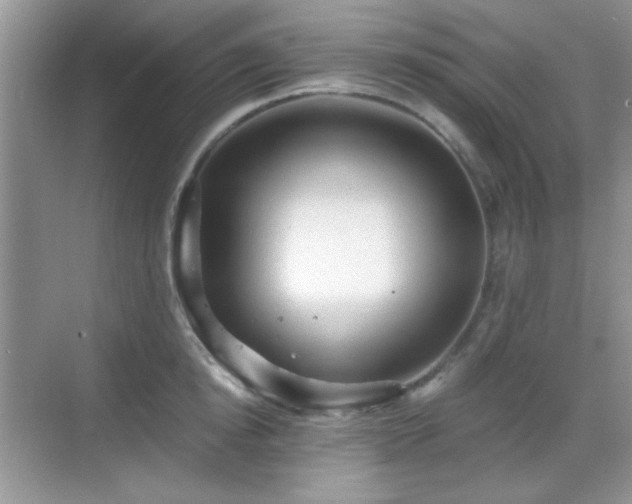 X0000068810854200605081117