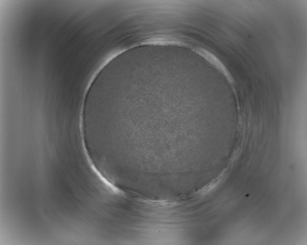 X0000068810855200605081117