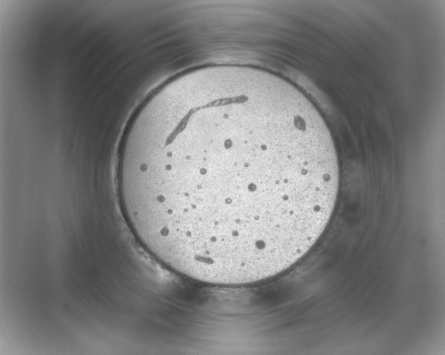 X0000068810856200605081117