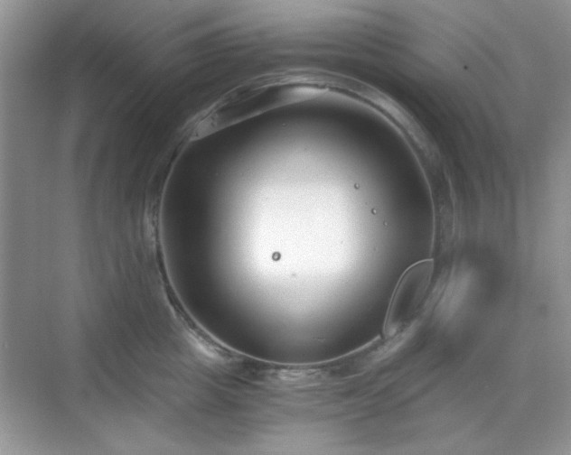 X0000068810857200605081117