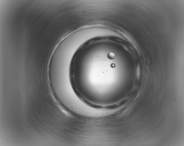 X0000068810858200605081118