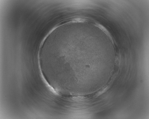 X0000068810859200605081118