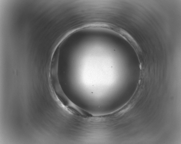 X0000068810860200605081118