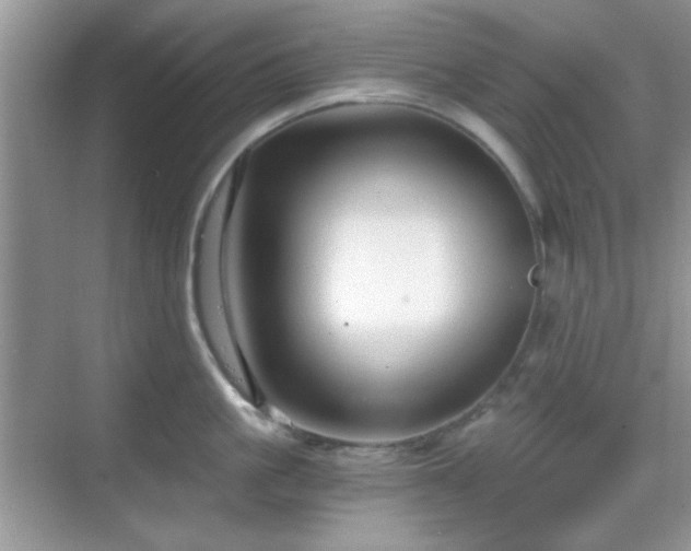 X0000068810861200605081118