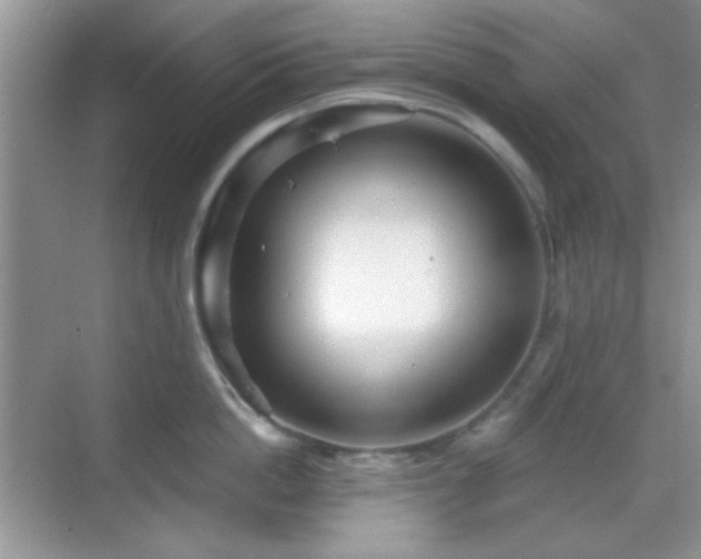 X0000068810862200605081118