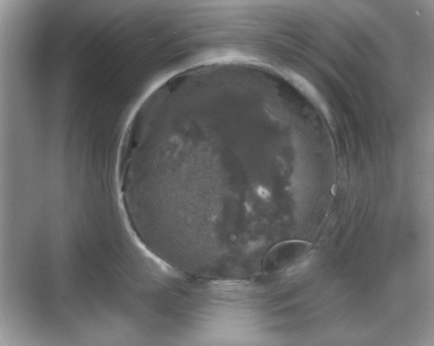 X0000068810863200605081118