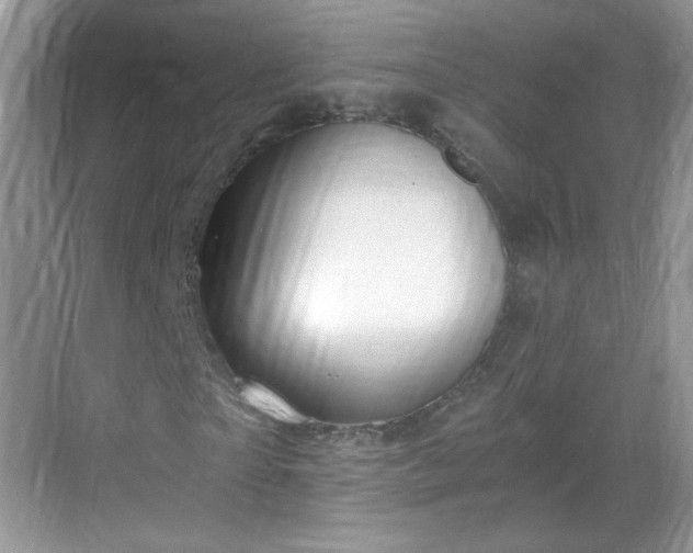 X0000068810865200605081117