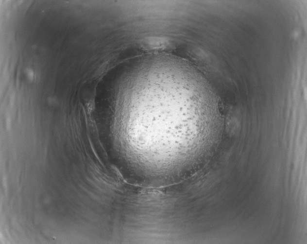 X0000068810866200605081117