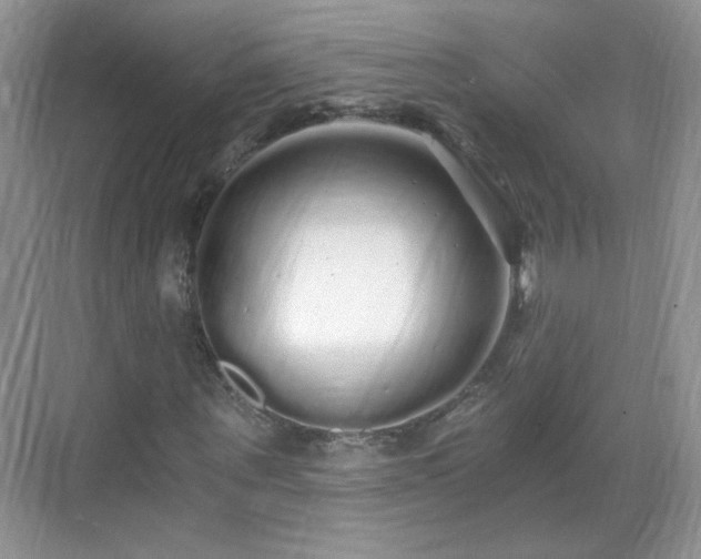 X0000068810867200605081117