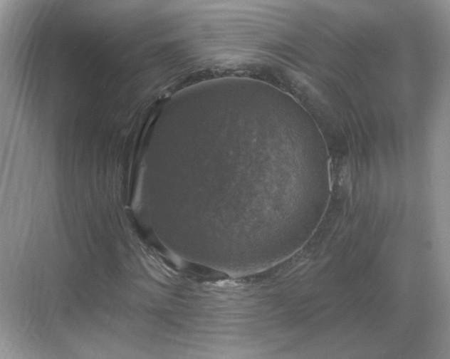 X0000068810868200605081117