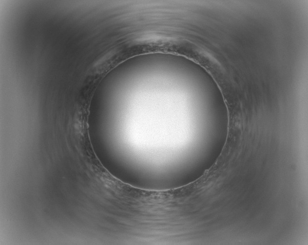 X0000068810869200605081117