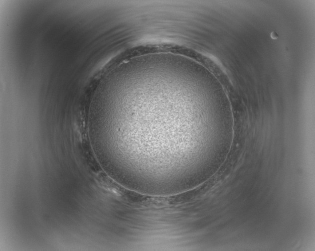 X0000068810871200605081117