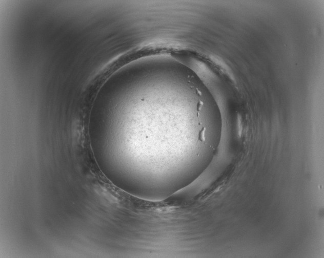 X0000068810872200605081117