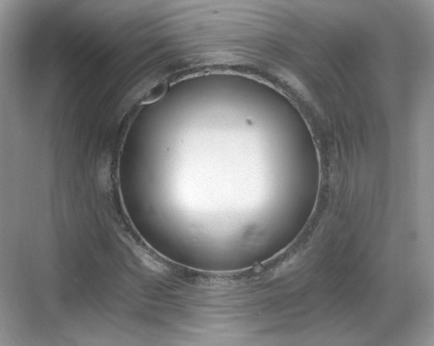 X0000068810873200605081117