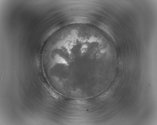 X0000068810874200605081117