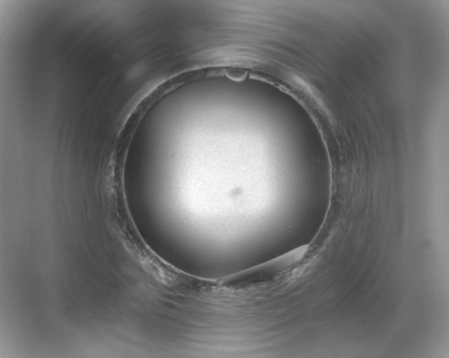 X0000068810875200605081117