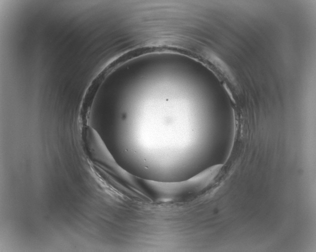 X0000068810876200605081117