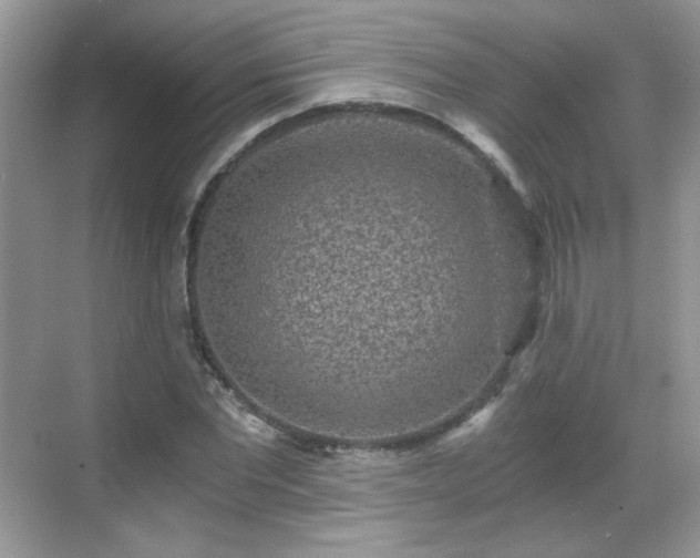 X0000068810877200605081117