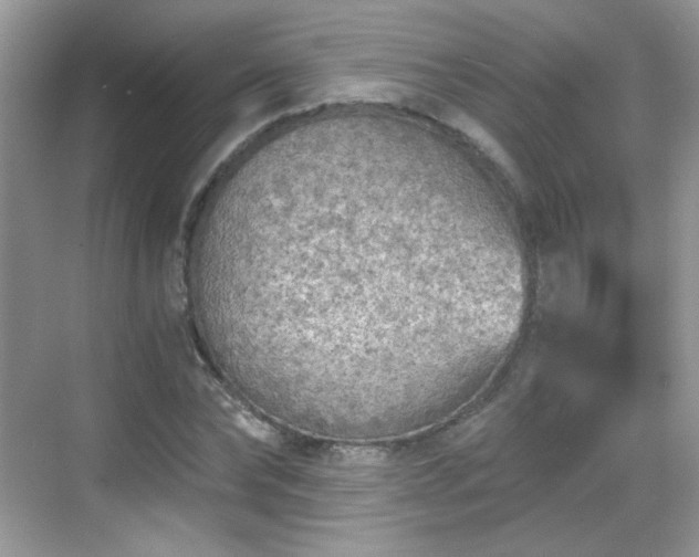 X0000068810878200605081117