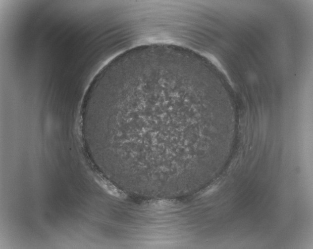 X0000068810879200605081117