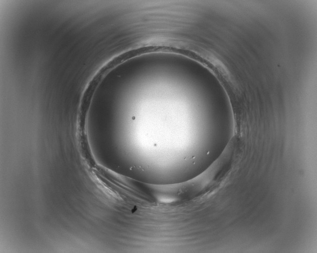 X0000068810880200605081117