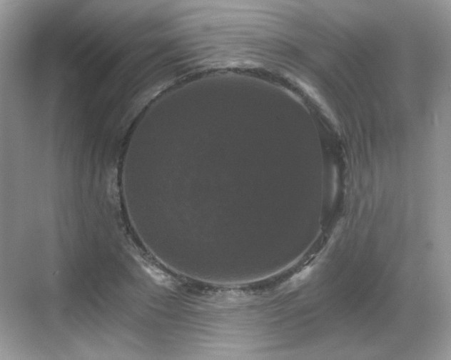 X0000068810881200605081117