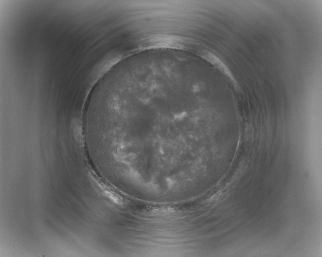 X0000068810882200605081117