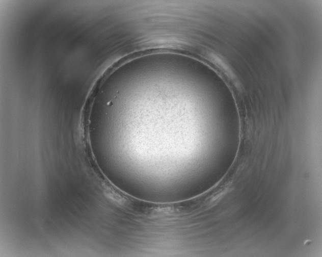 X0000068810883200605081116