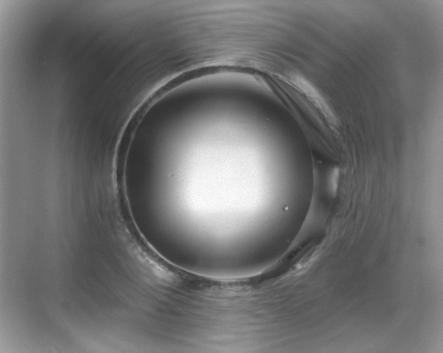 X0000068810884200605081116